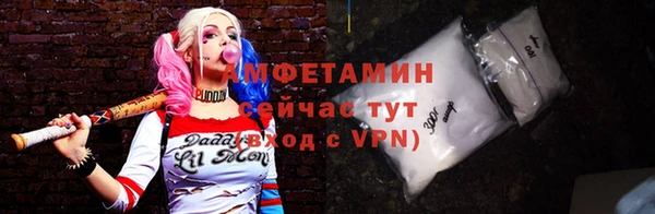 МДПВ Пересвет