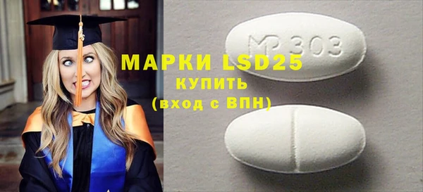 гидра Болохово