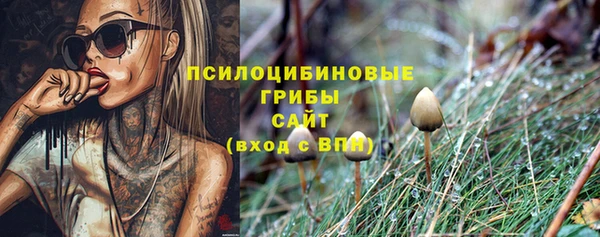 ешки Пестово