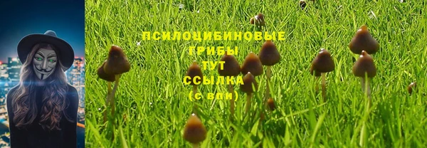 ALPHA-PVP Осинники