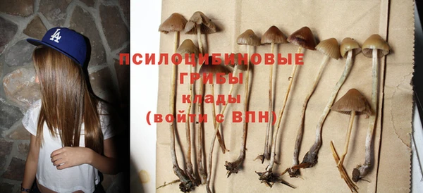 ALPHA-PVP Осинники
