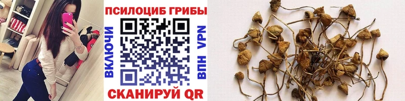 Псилоцибиновые грибы мухоморы  MEGA ONION  Анадырь  наркотики 